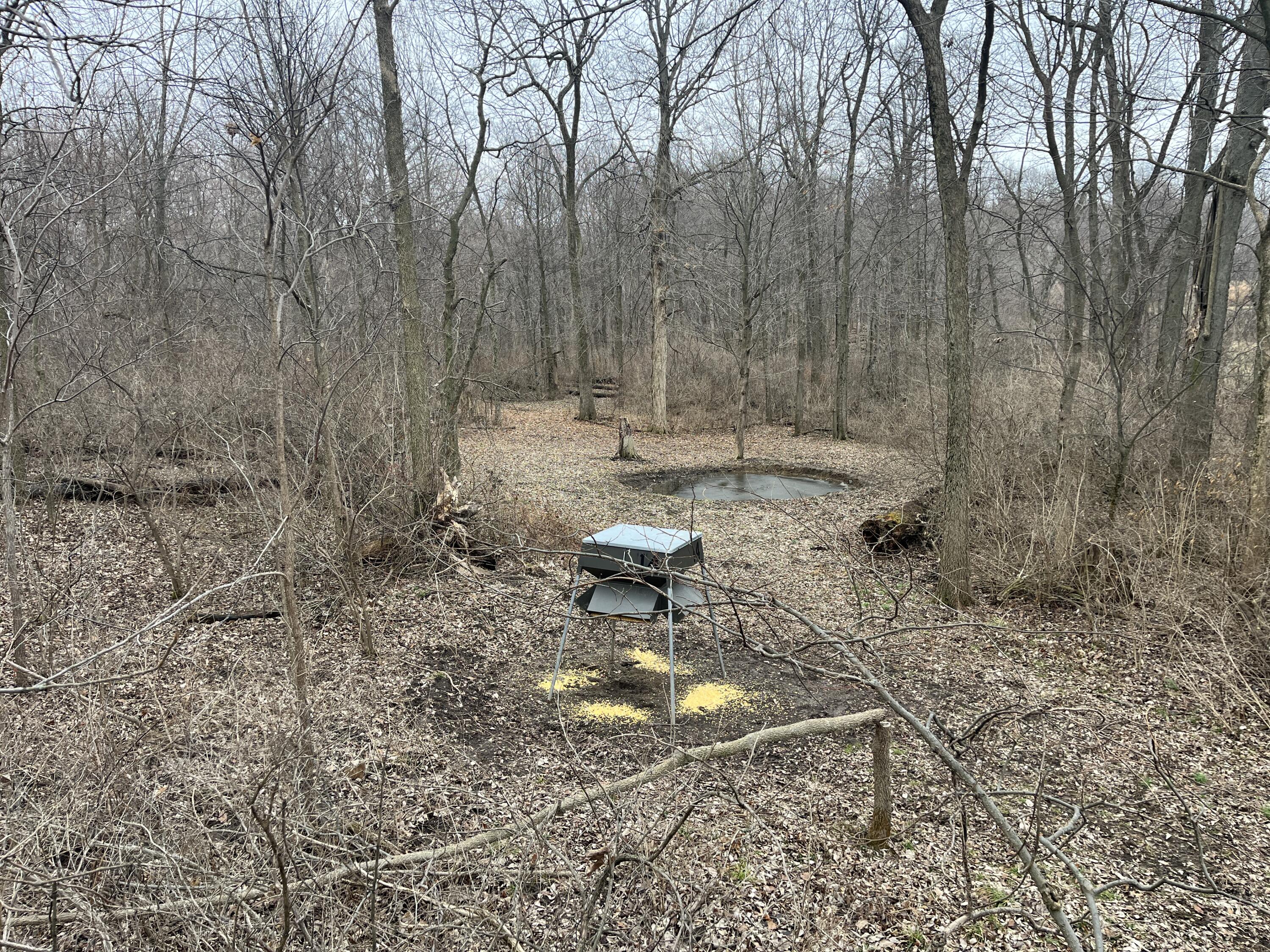 0 Kite Road, Saint Paris, Ohio 43072