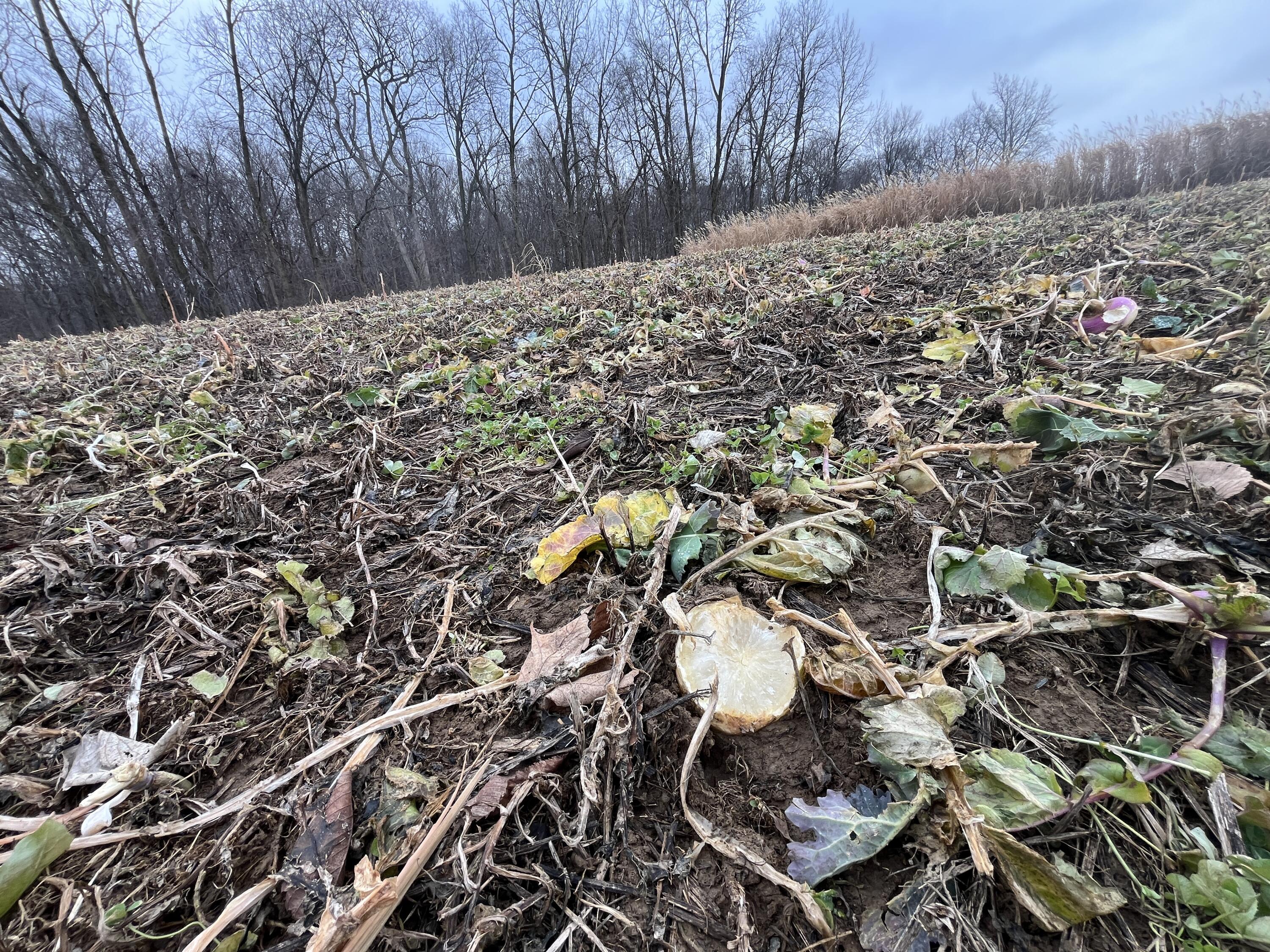 0 Kite Road, Saint Paris, Ohio 43072