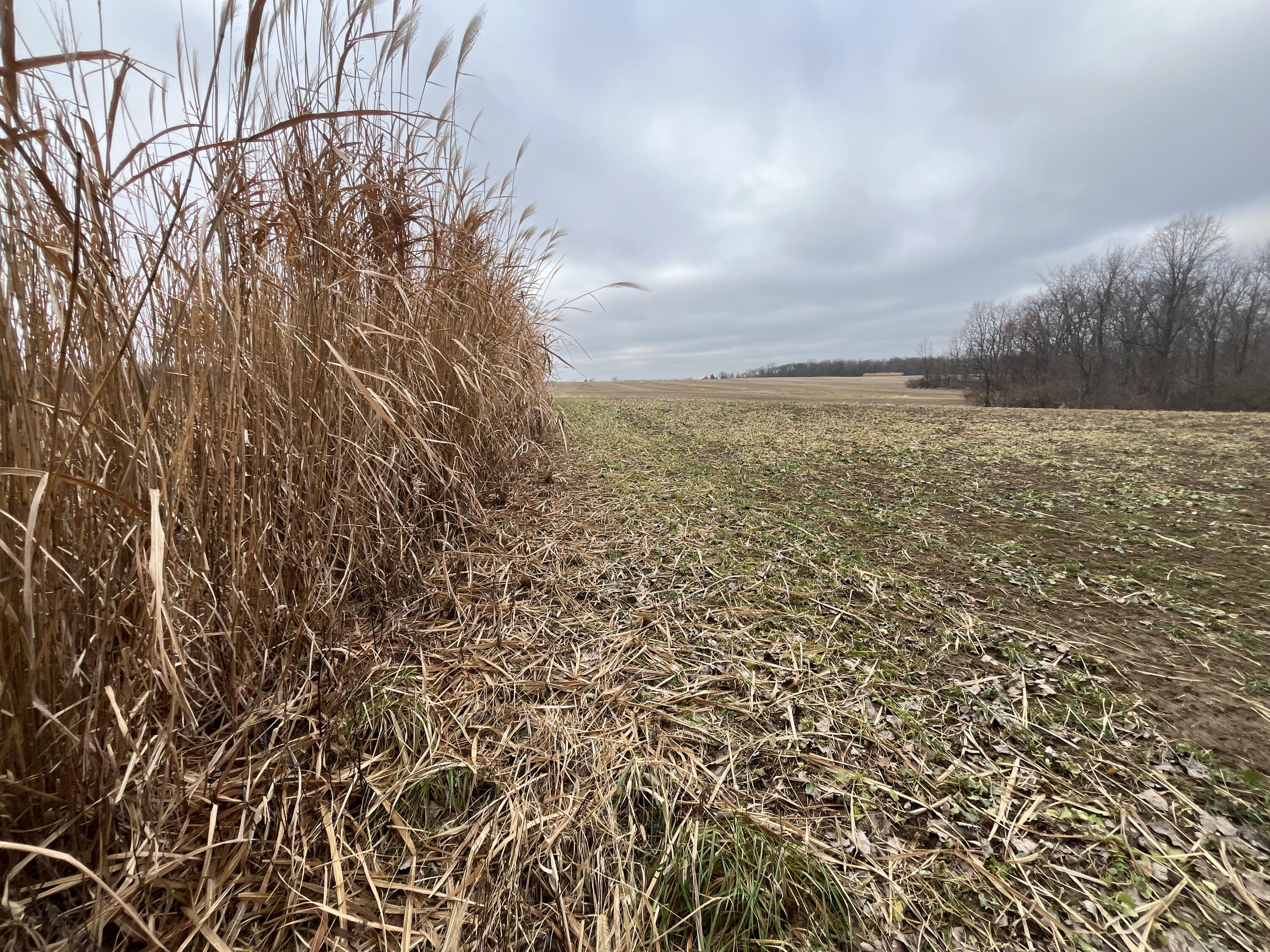 0 Kite Road, Saint Paris, Ohio 43072