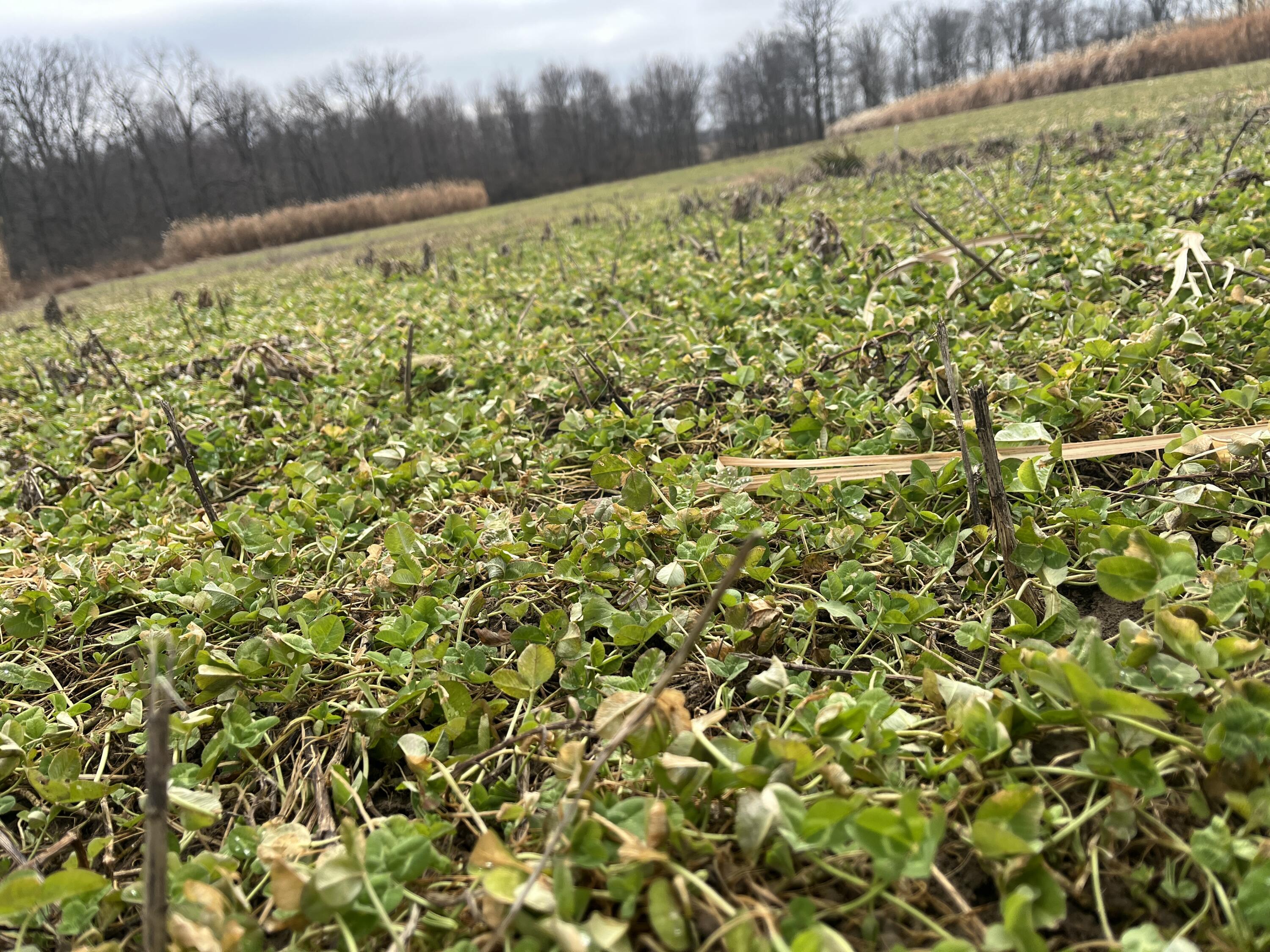 0 Kite Road, Saint Paris, Ohio 43072