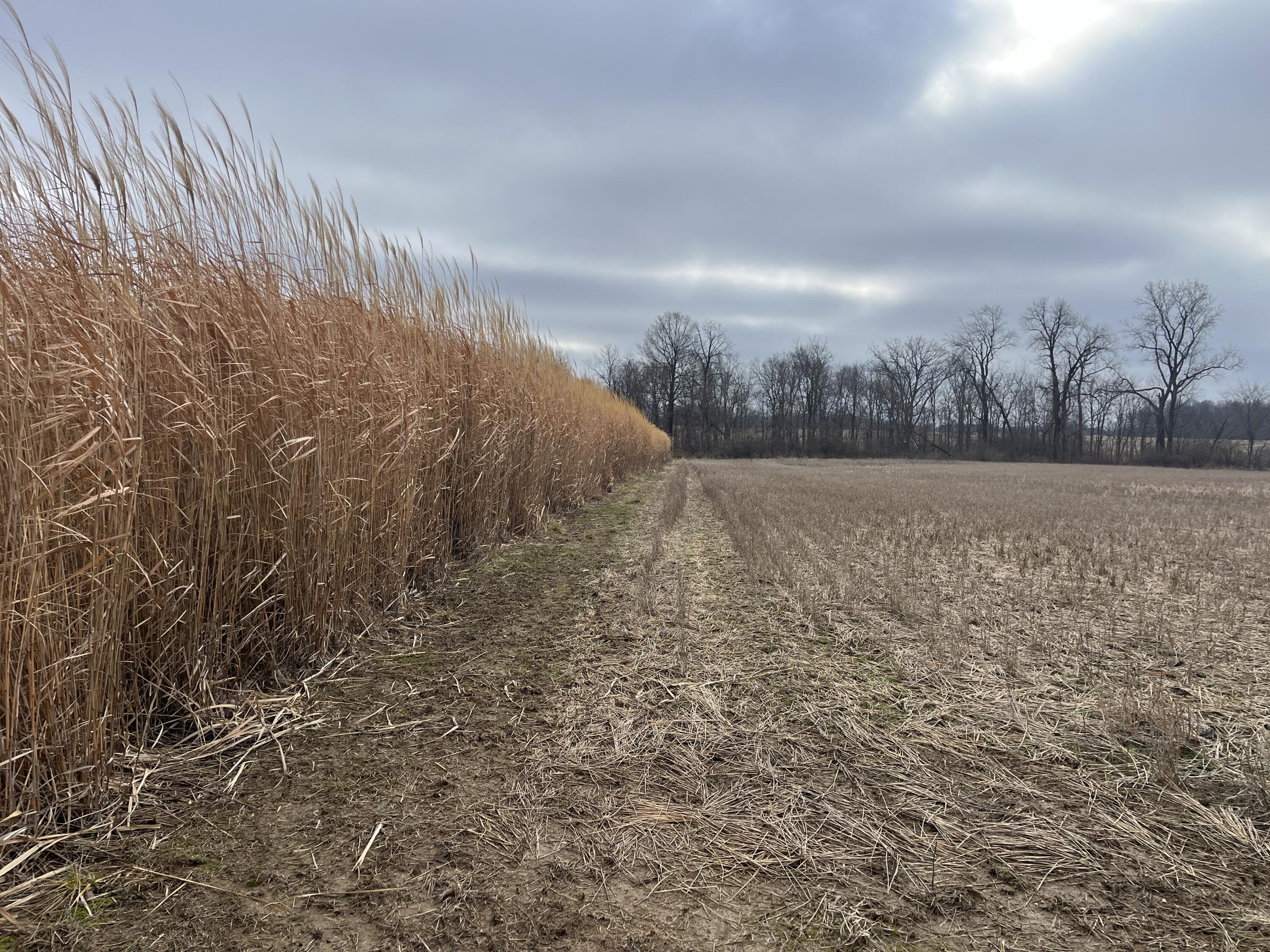 0 Kite Road, Saint Paris, Ohio 43072