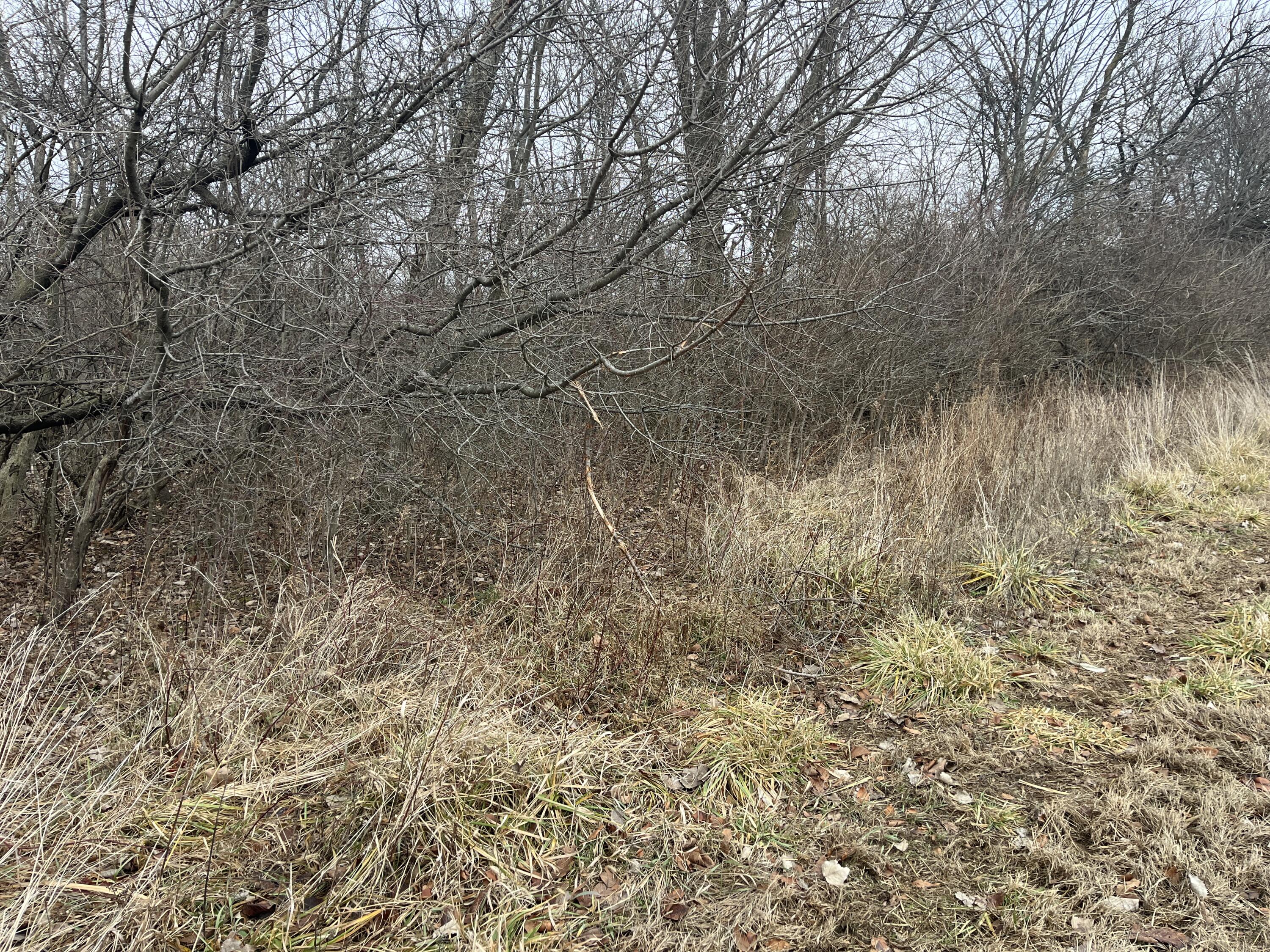 0 Kite Road, Saint Paris, Ohio 43072