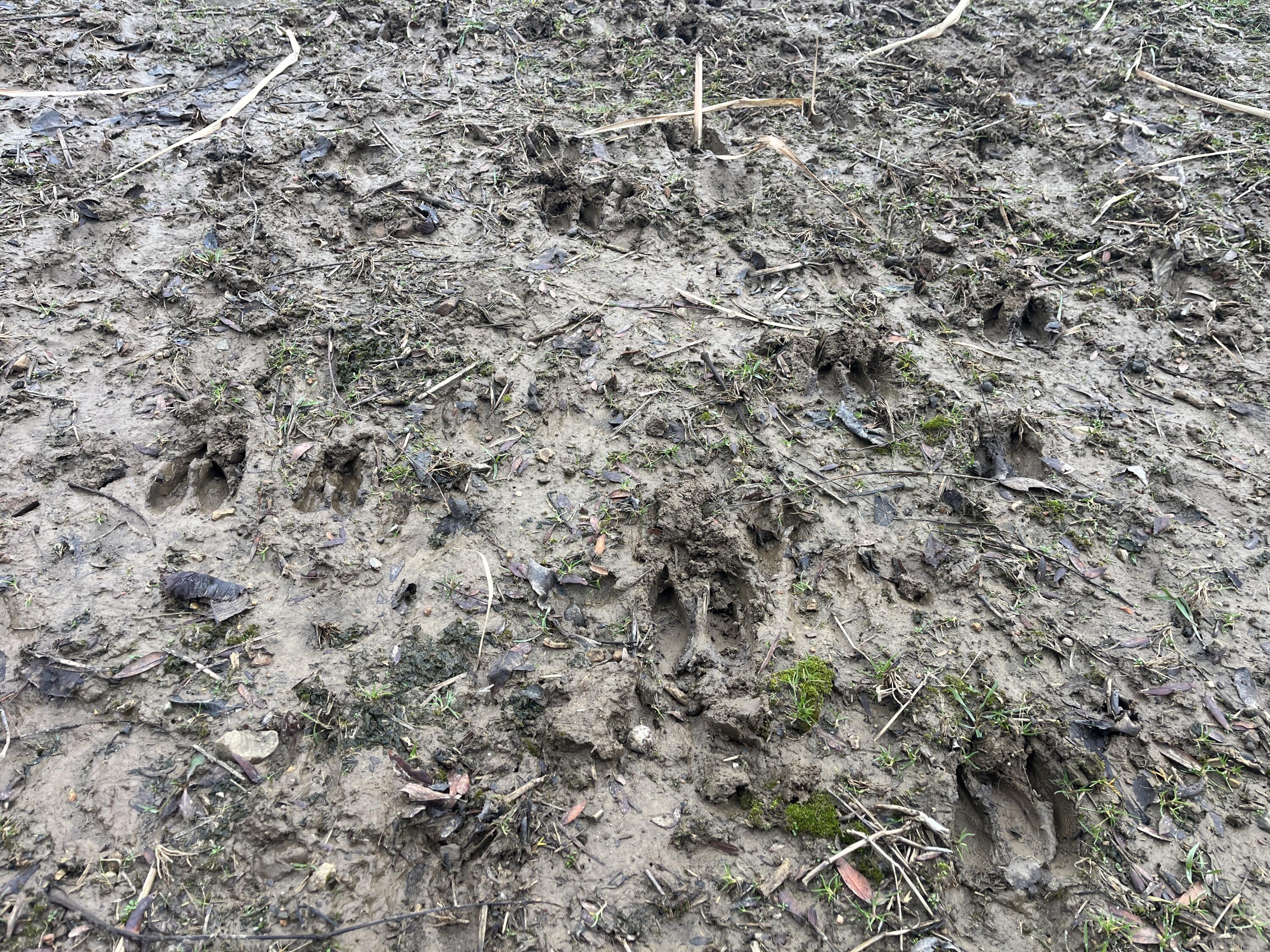 0 Kite Road, Saint Paris, Ohio 43072