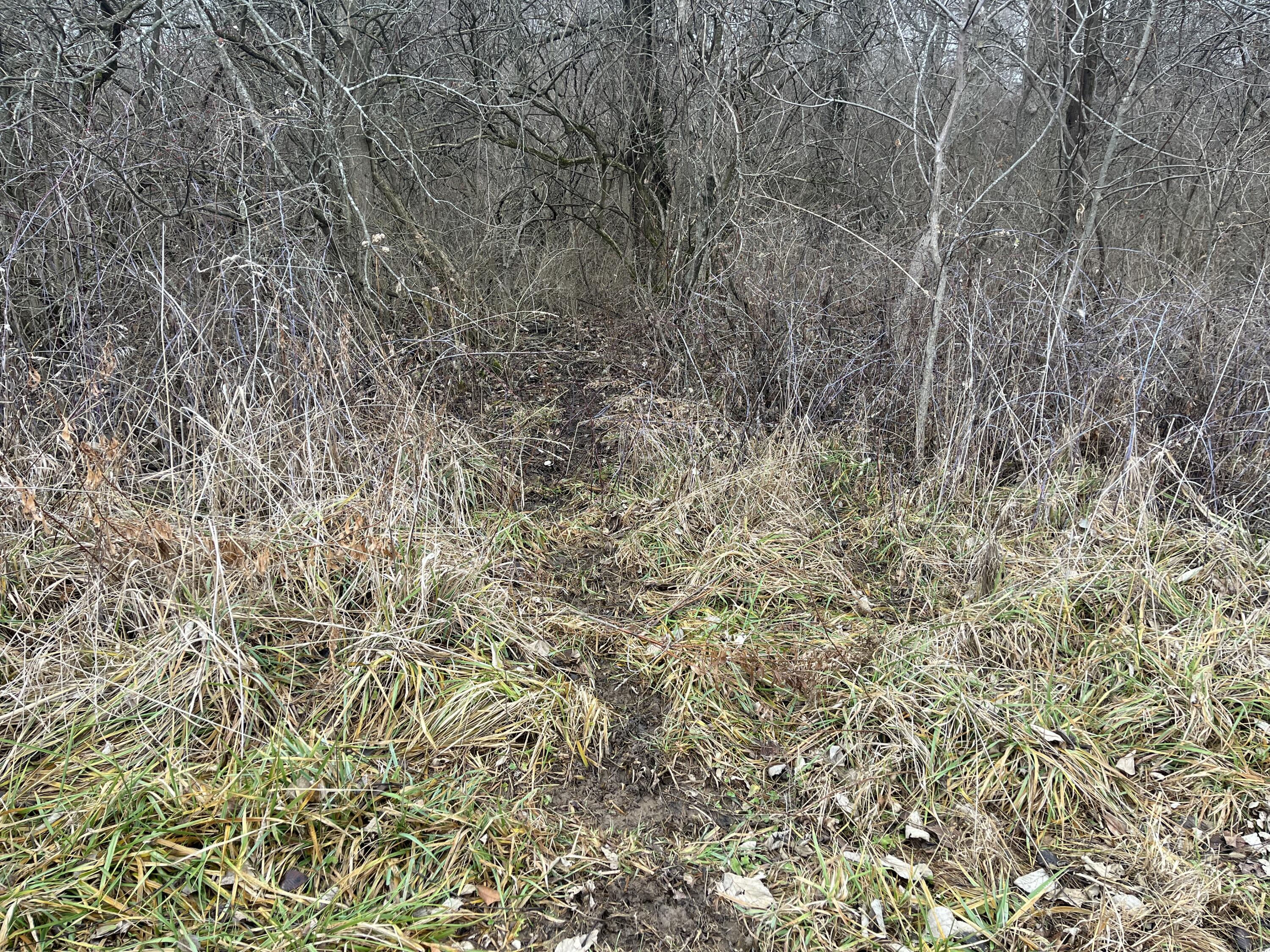 0 Kite Road, Saint Paris, Ohio 43072