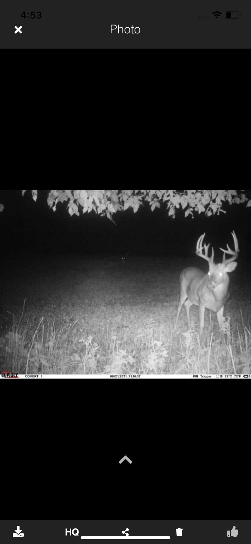 0 Kite Road, Saint Paris, Ohio 43072