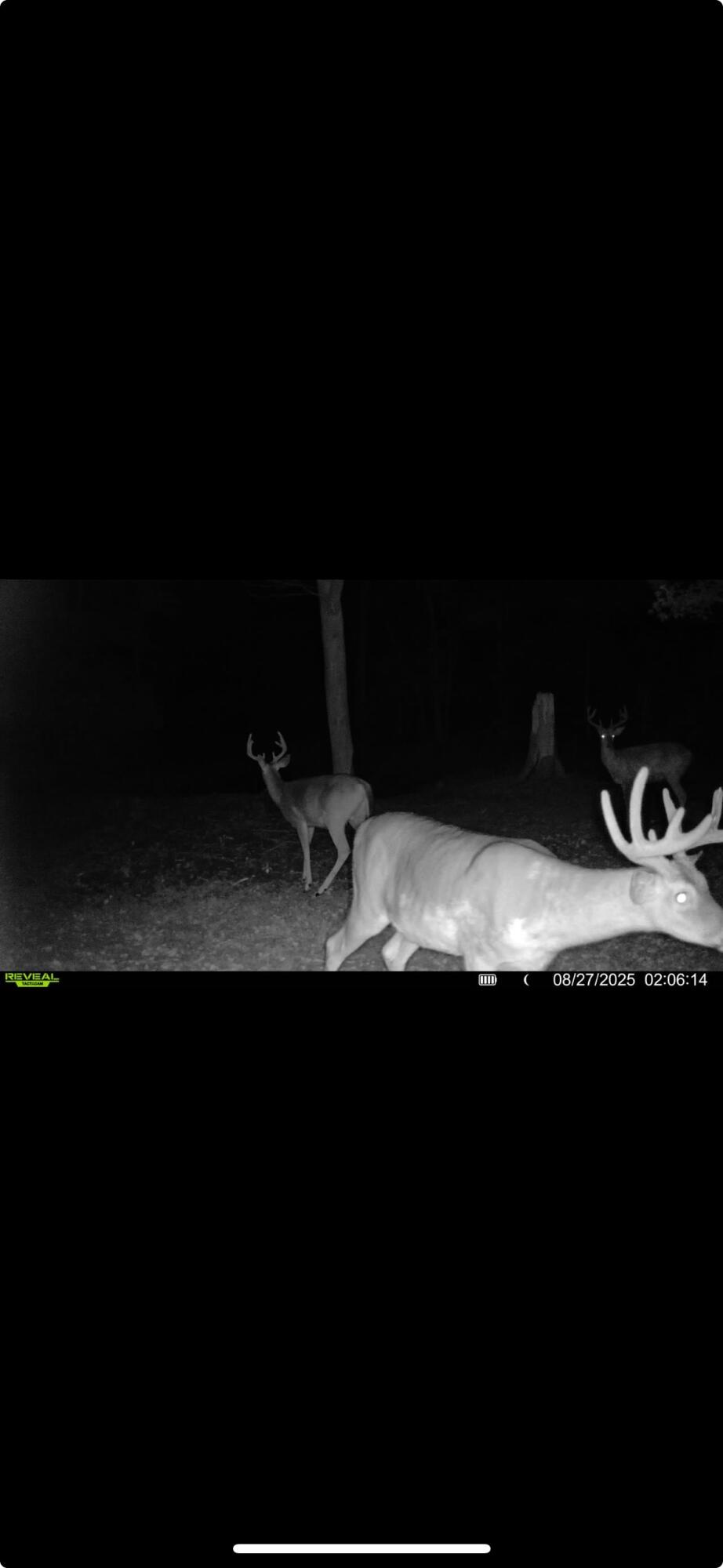 0 Kite Road, Saint Paris, Ohio 43072