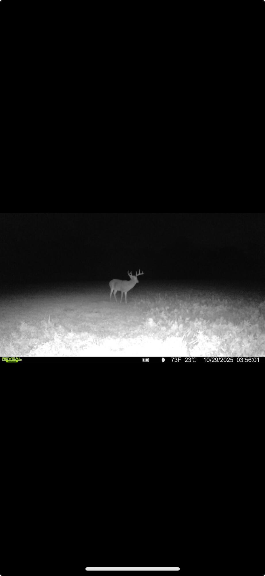 0 Kite Road, Saint Paris, Ohio 43072