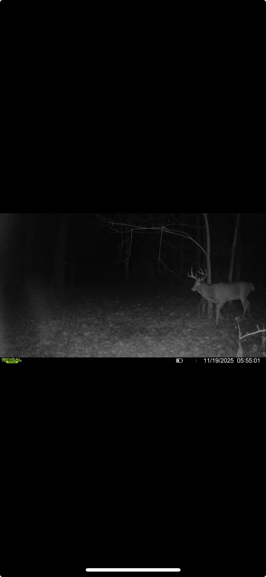 0 Kite Road, Saint Paris, Ohio 43072