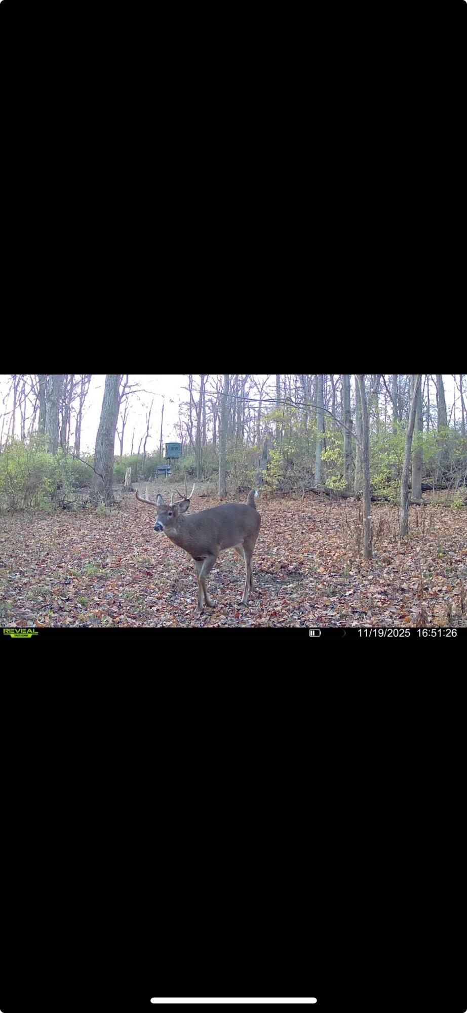 0 Kite Road, Saint Paris, Ohio 43072