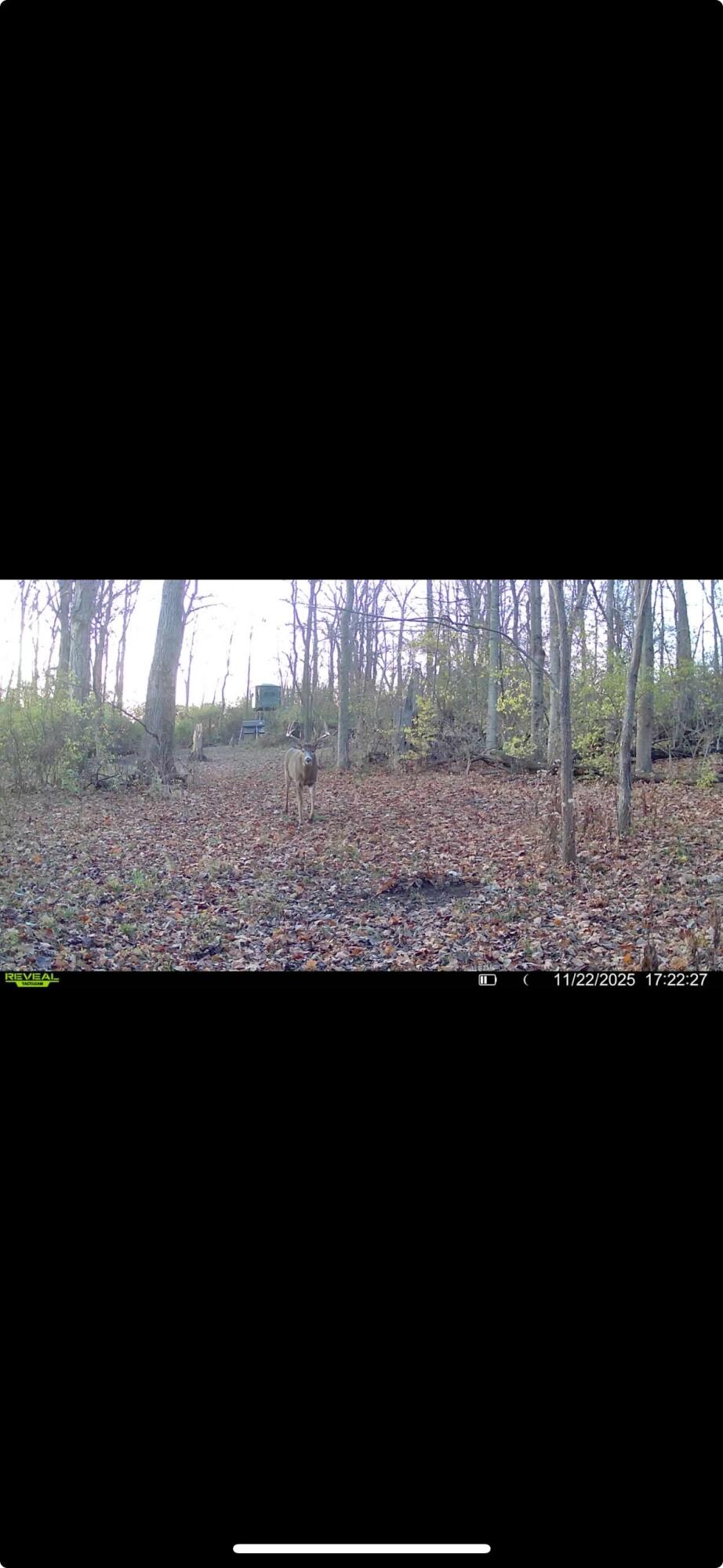 0 Kite Road, Saint Paris, Ohio 43072