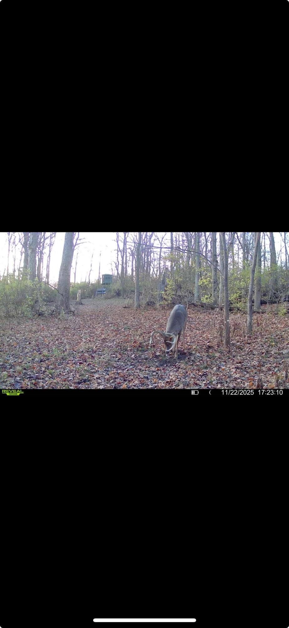 0 Kite Road, Saint Paris, Ohio 43072