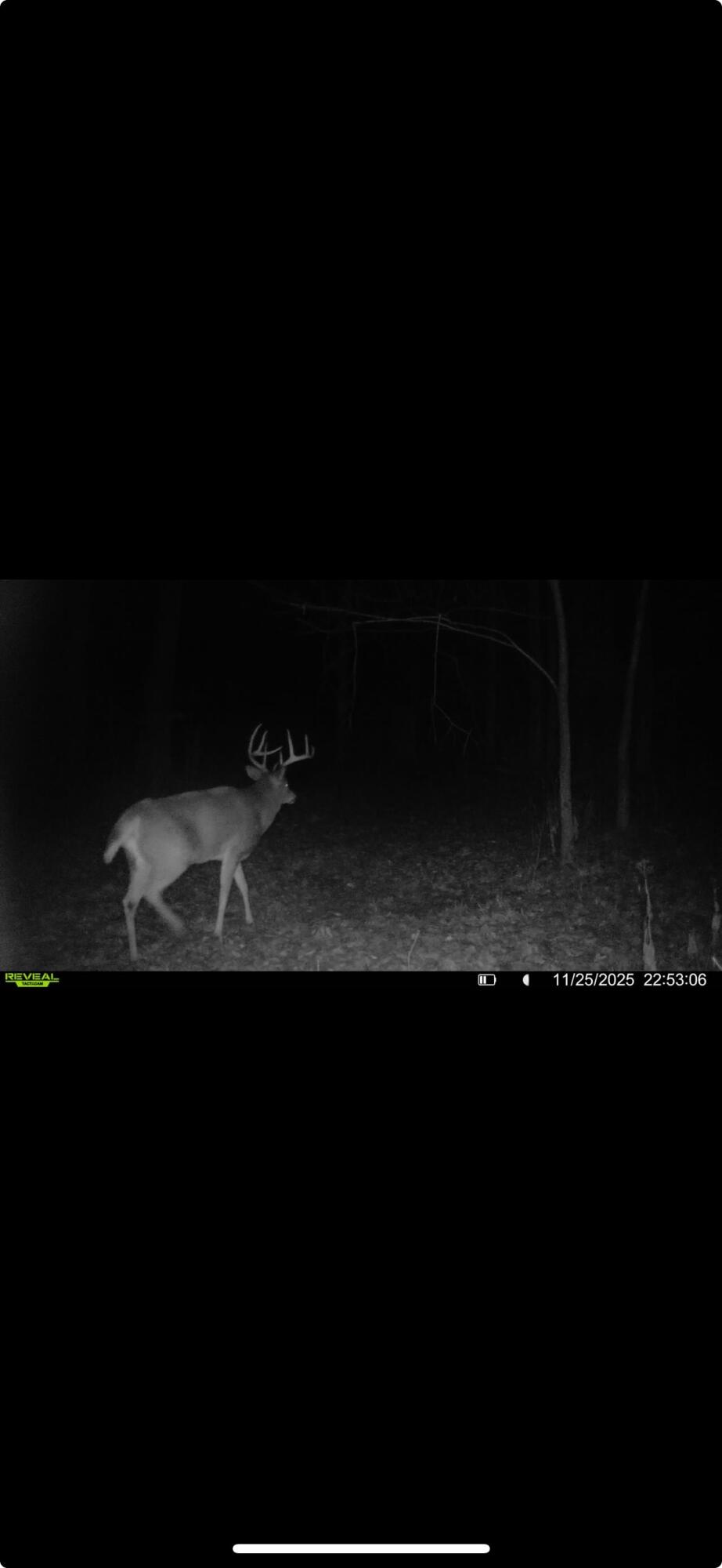 0 Kite Road, Saint Paris, Ohio 43072