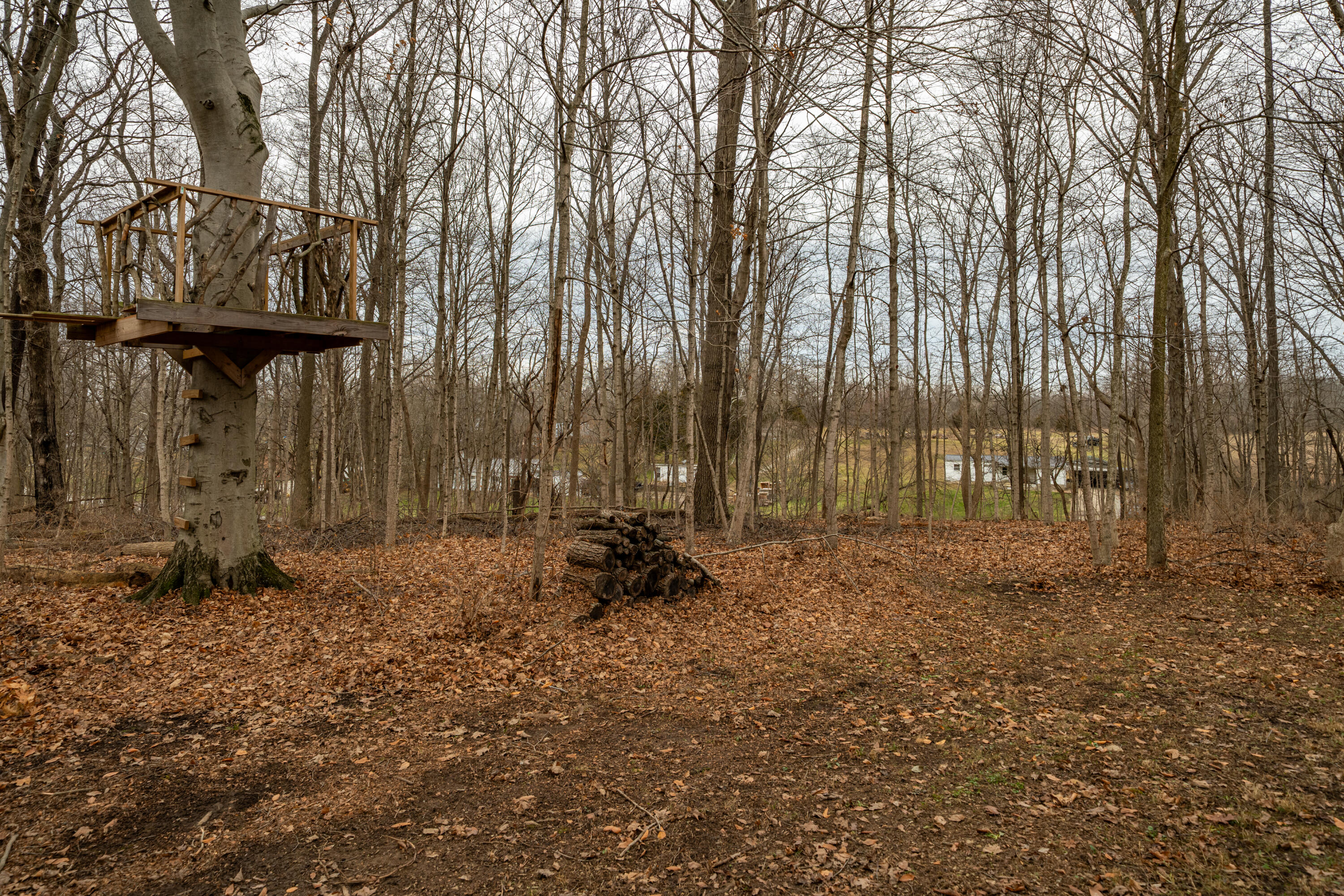 7416 Rike Road, Covington, Ohio 45318