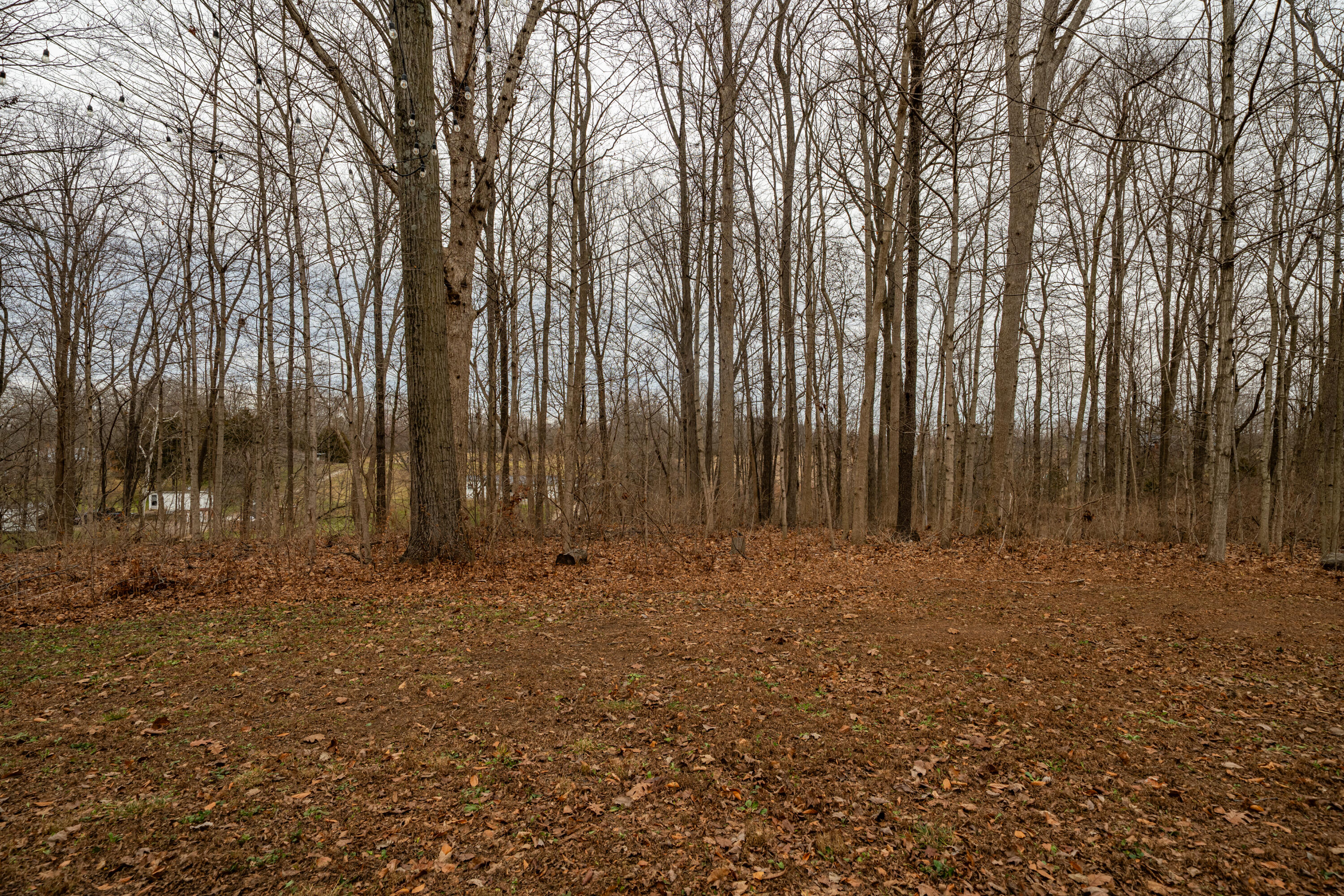 7416 Rike Road, Covington, Ohio 45318