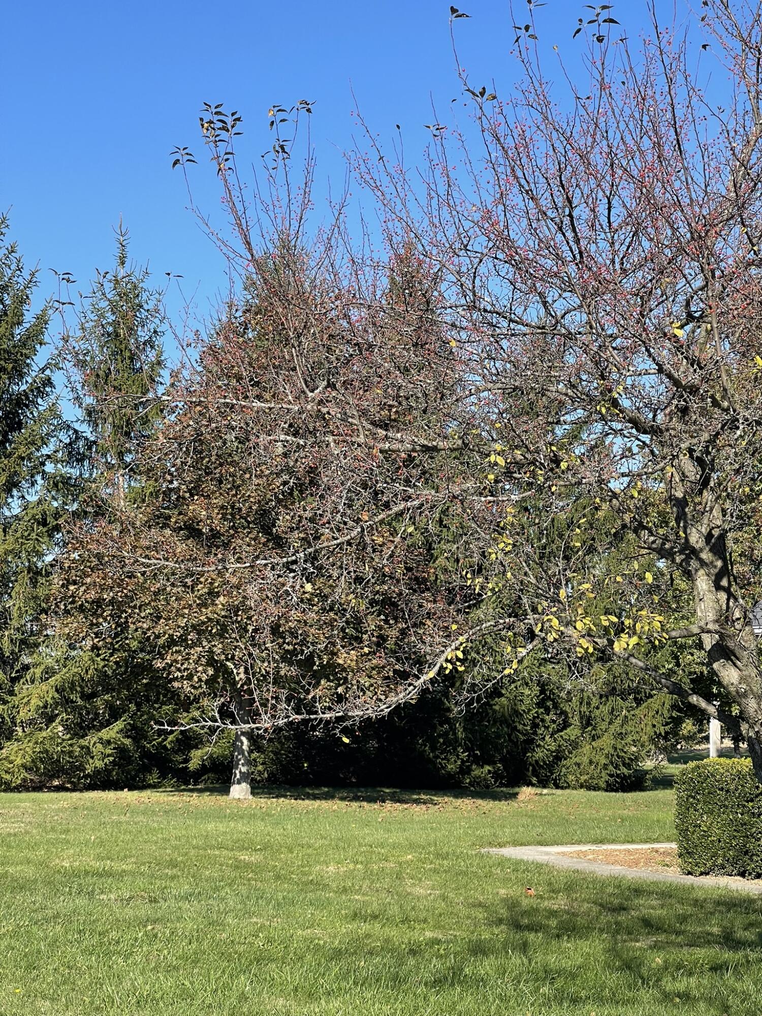 5411 Terre Haute Road, Urbana, Ohio 43078