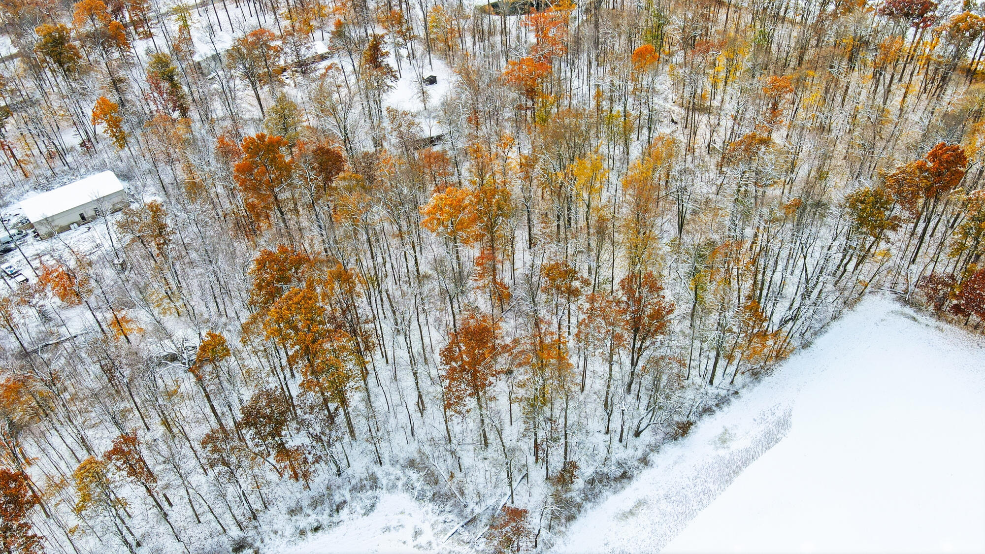 14333 Meranda Road, Anna, Ohio 45302