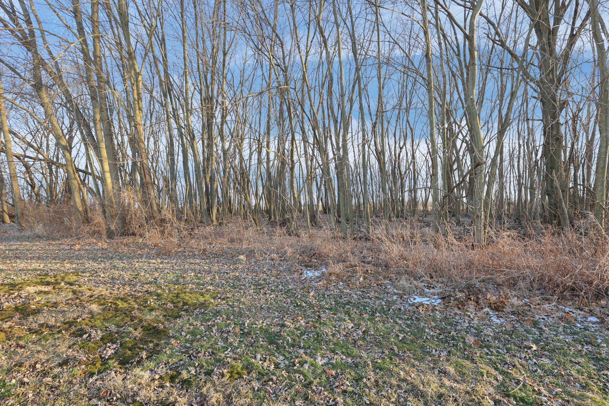 301 Seville Drive, Urbana, Ohio 43078