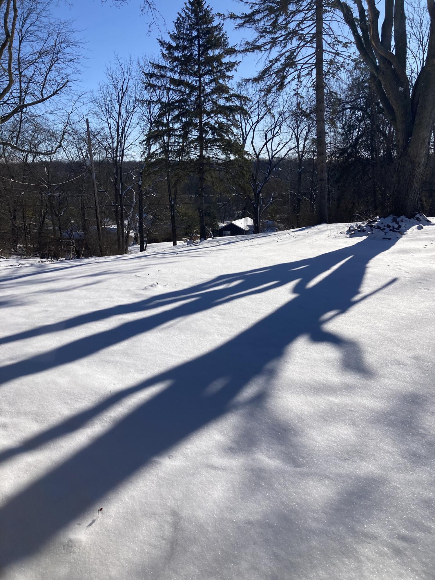 1252 Spruce Avenue, Sidney, Ohio 45365