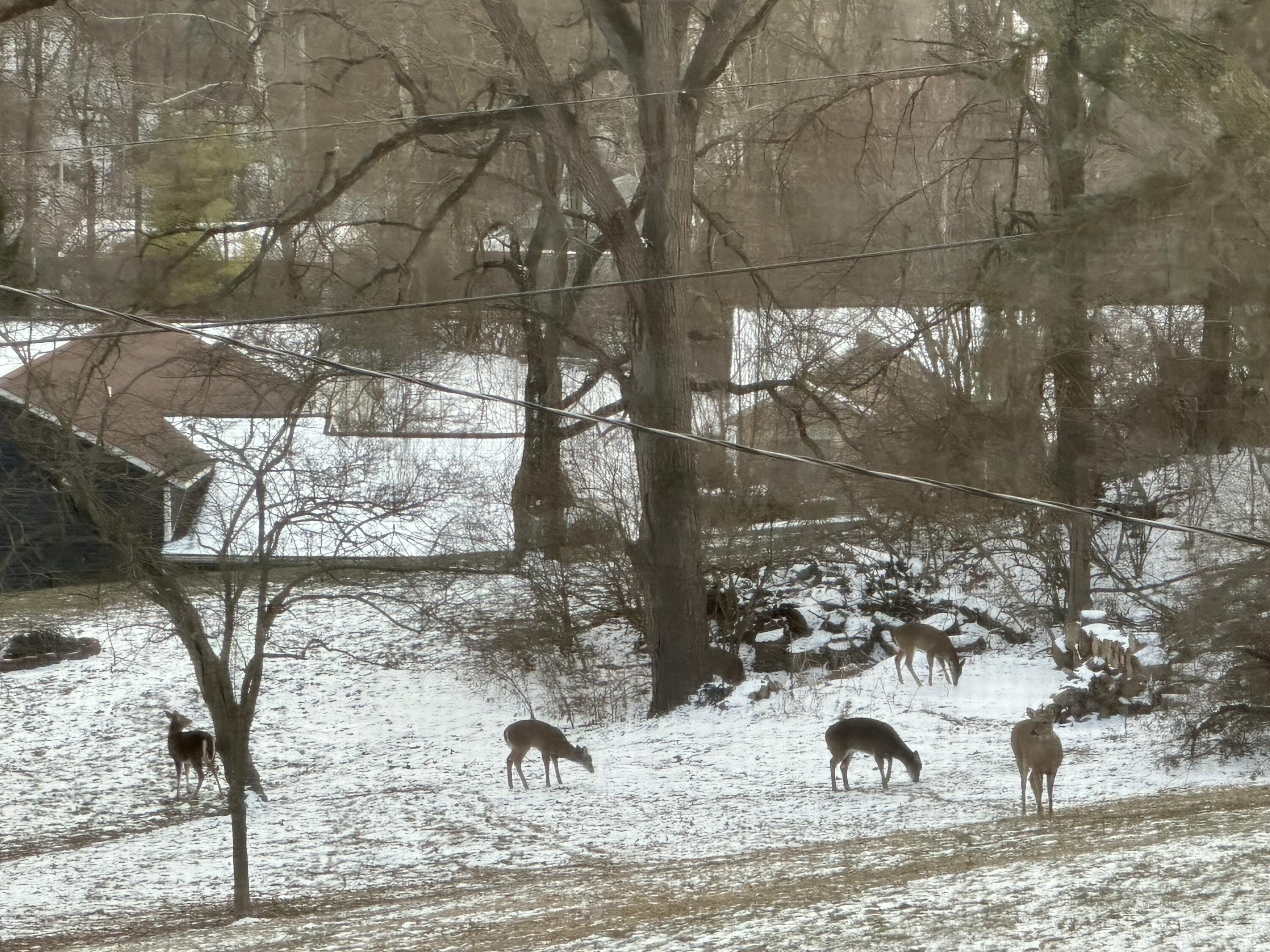 1252 Spruce Avenue, Sidney, Ohio 45365