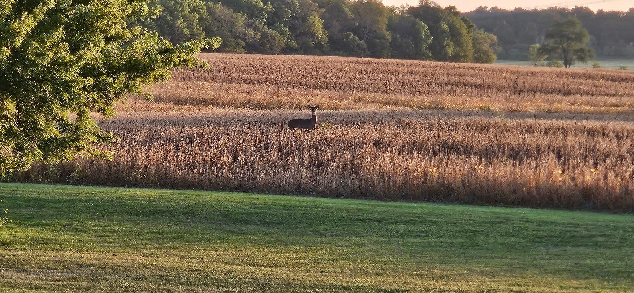 3000 County Road 5, Bellefontaine, Ohio 43311