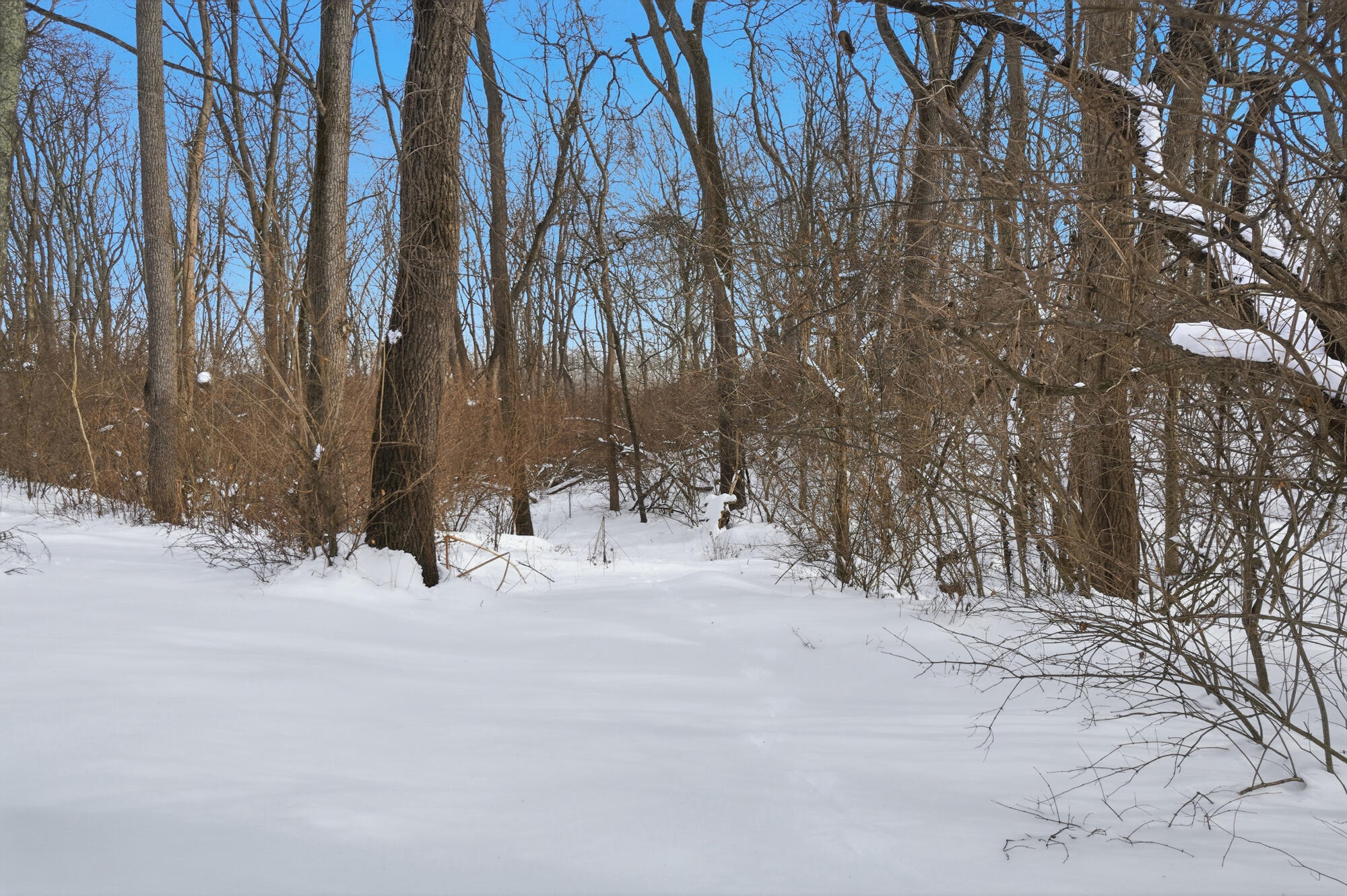 260 California Avenue, Springfield, Ohio 45505