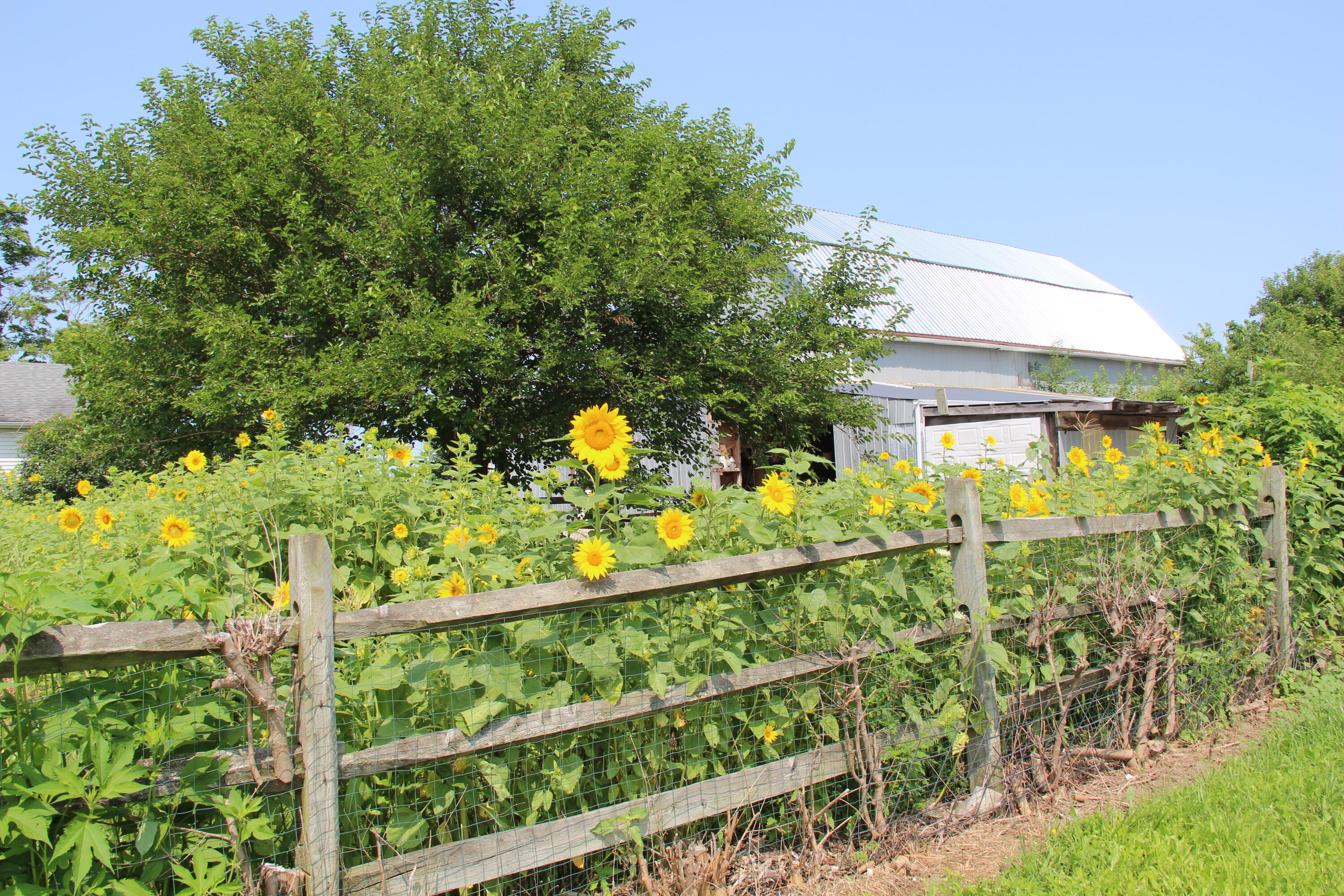 9660 County Road 66a, New Bremen, Ohio 45869