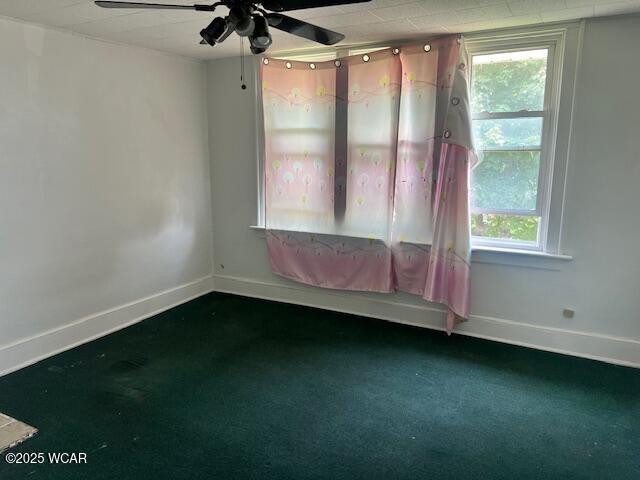 530 Franklin St. Street, Kenton, Ohio