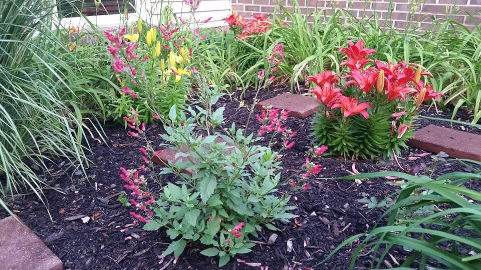 1117 Scenic Court, Troy, Ohio 45373