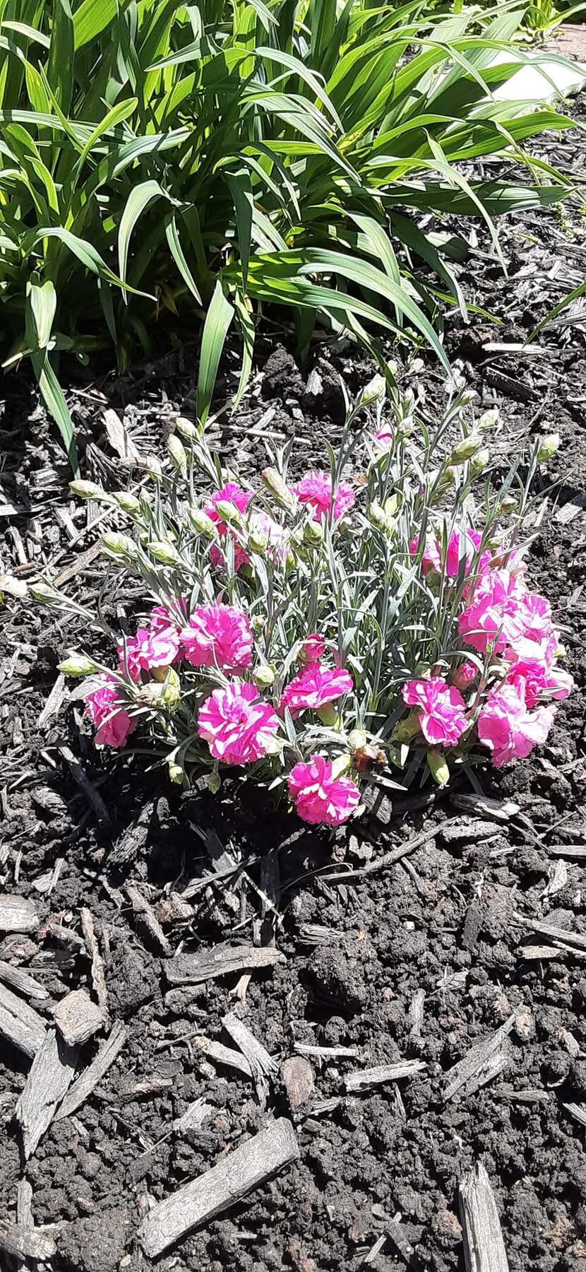 1117 Scenic Court, Troy, Ohio 45373