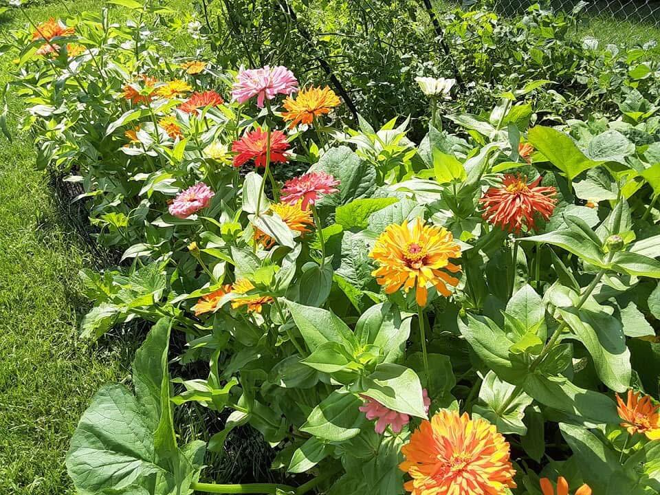 1117 Scenic Court, Troy, Ohio 45373