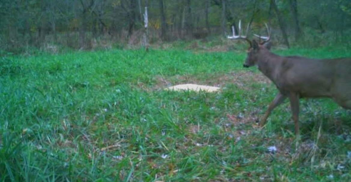 0 Oh-296, Urbana, Ohio 43078