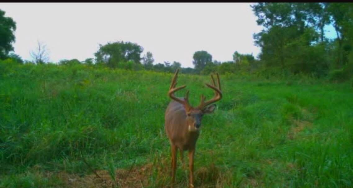 0 Oh-296, Urbana, Ohio 43078