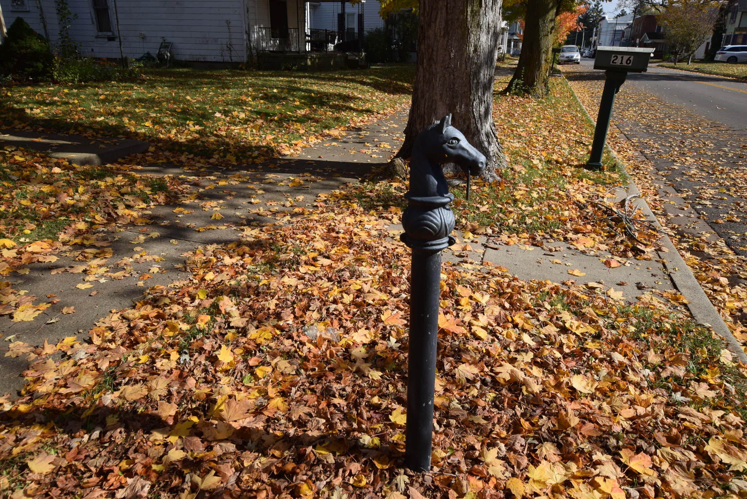 216 Baird Street, West Liberty, Ohio 43357