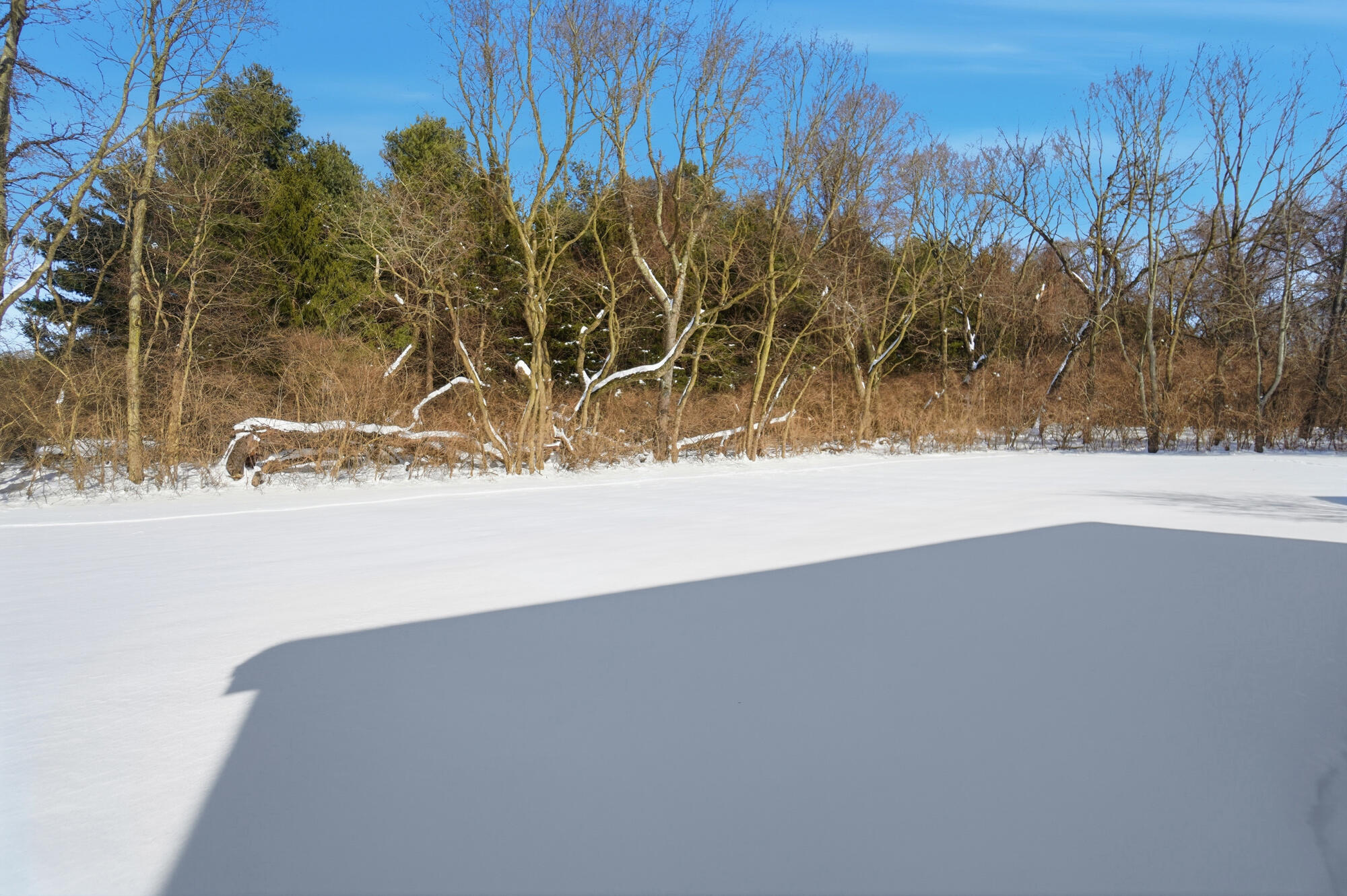 5060 Morris Road, Springfield, Ohio 45502