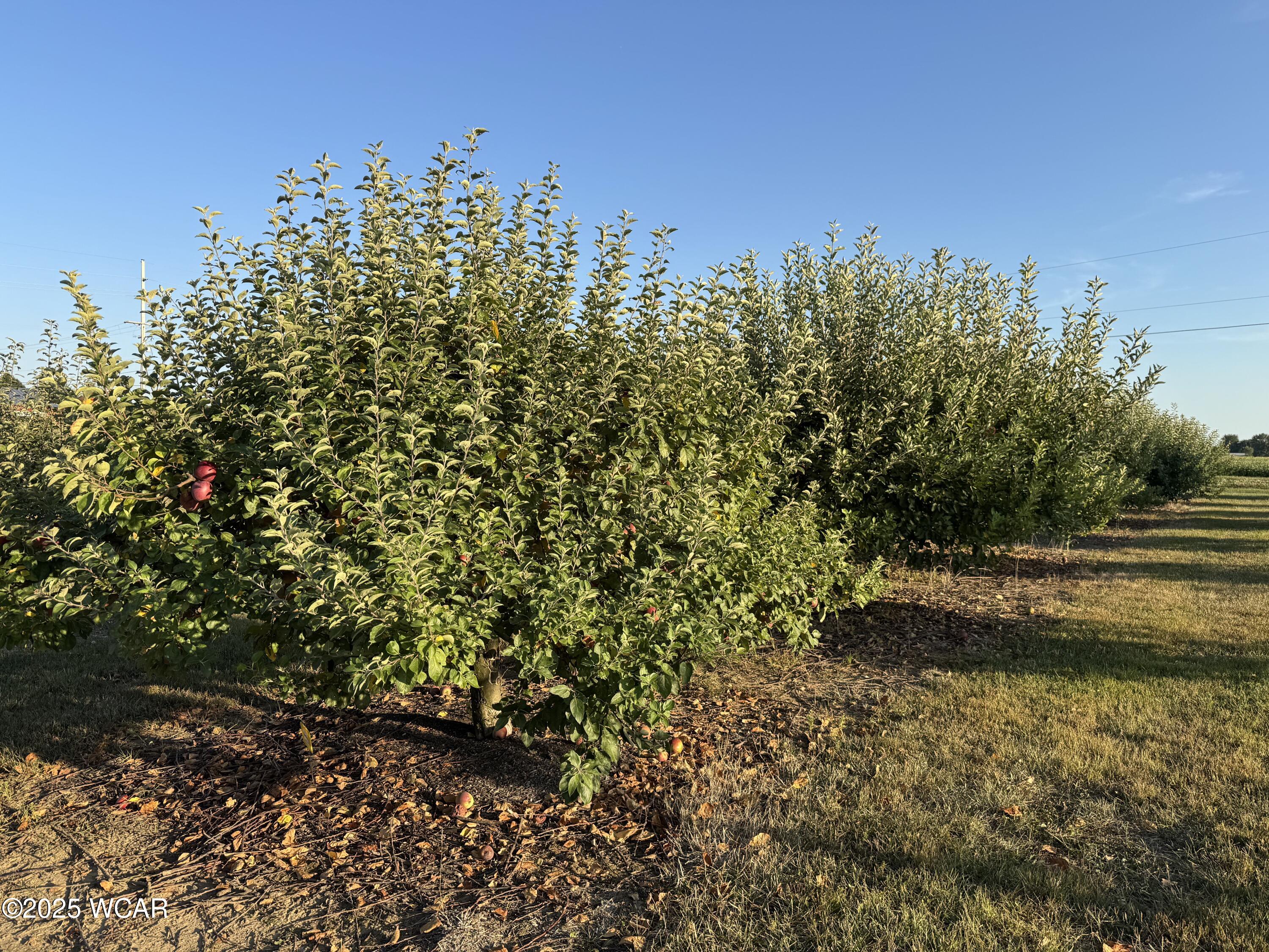 5025 Cool Road, Lima, Ohio