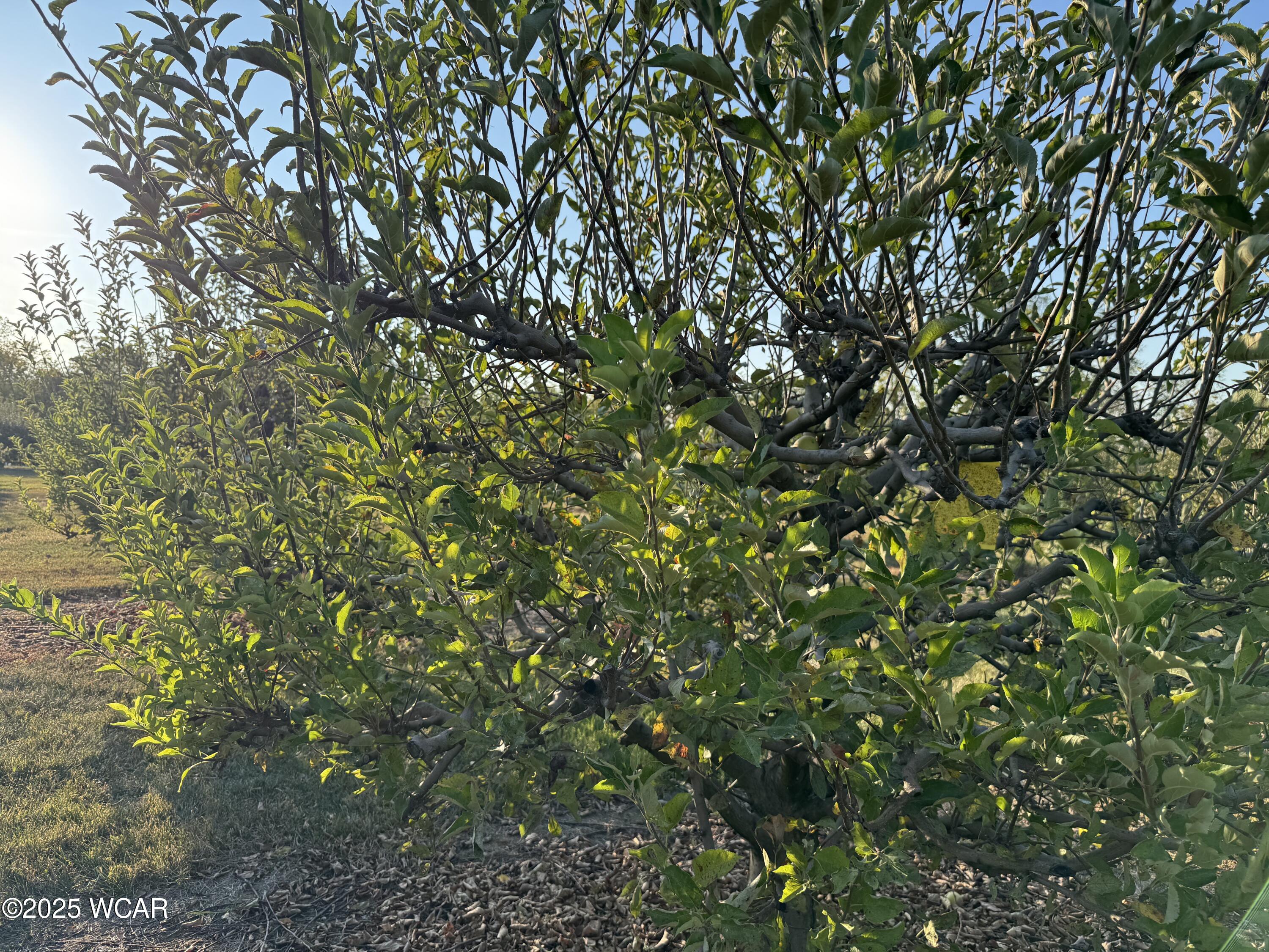 5025 Cool Road, Lima, Ohio