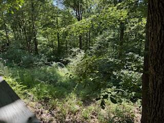 75959 Vandalia Lane, Kimbolton, Ohio 43749