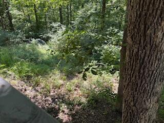 75959 Vandalia Lane, Kimbolton, Ohio 43749