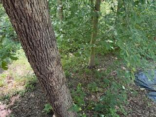 75959 Vandalia Lane, Kimbolton, Ohio 43749