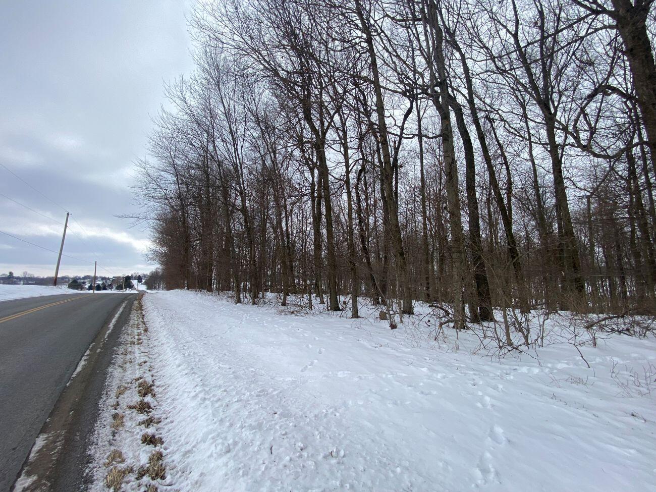 5.628 Acres County Road 28, West Liberty, Ohio 43357