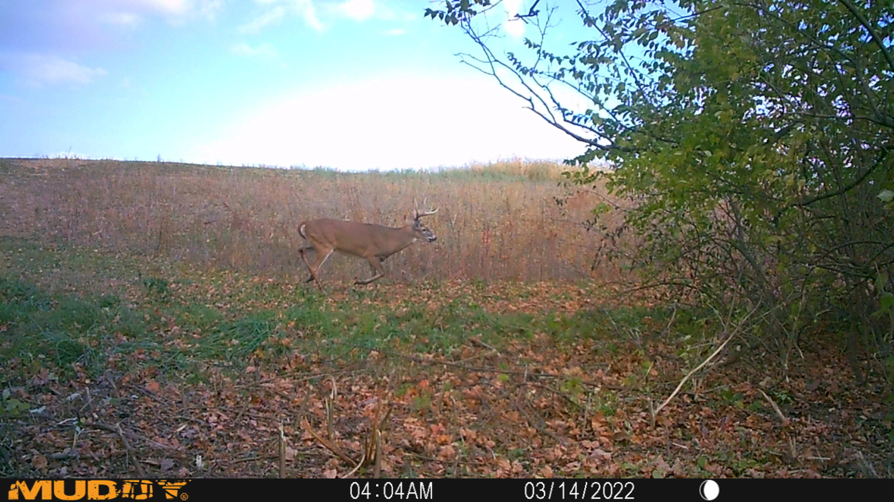 0 Township Hwy 127, Zanesfield, Ohio 43360