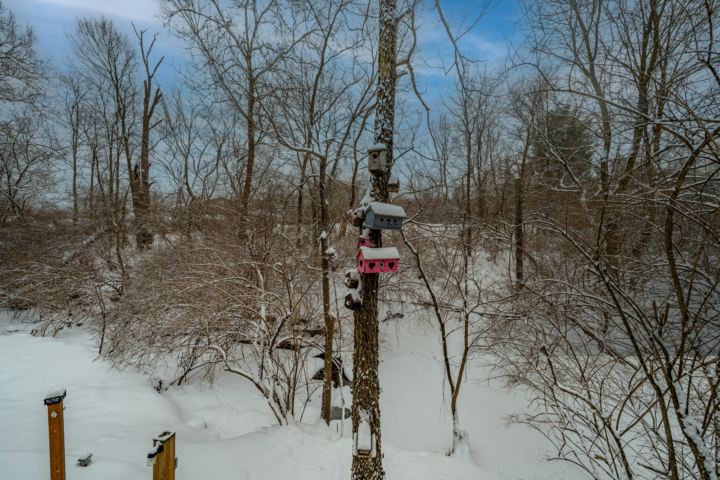 2884 Locke Drive, Beavercreek, Ohio 45431