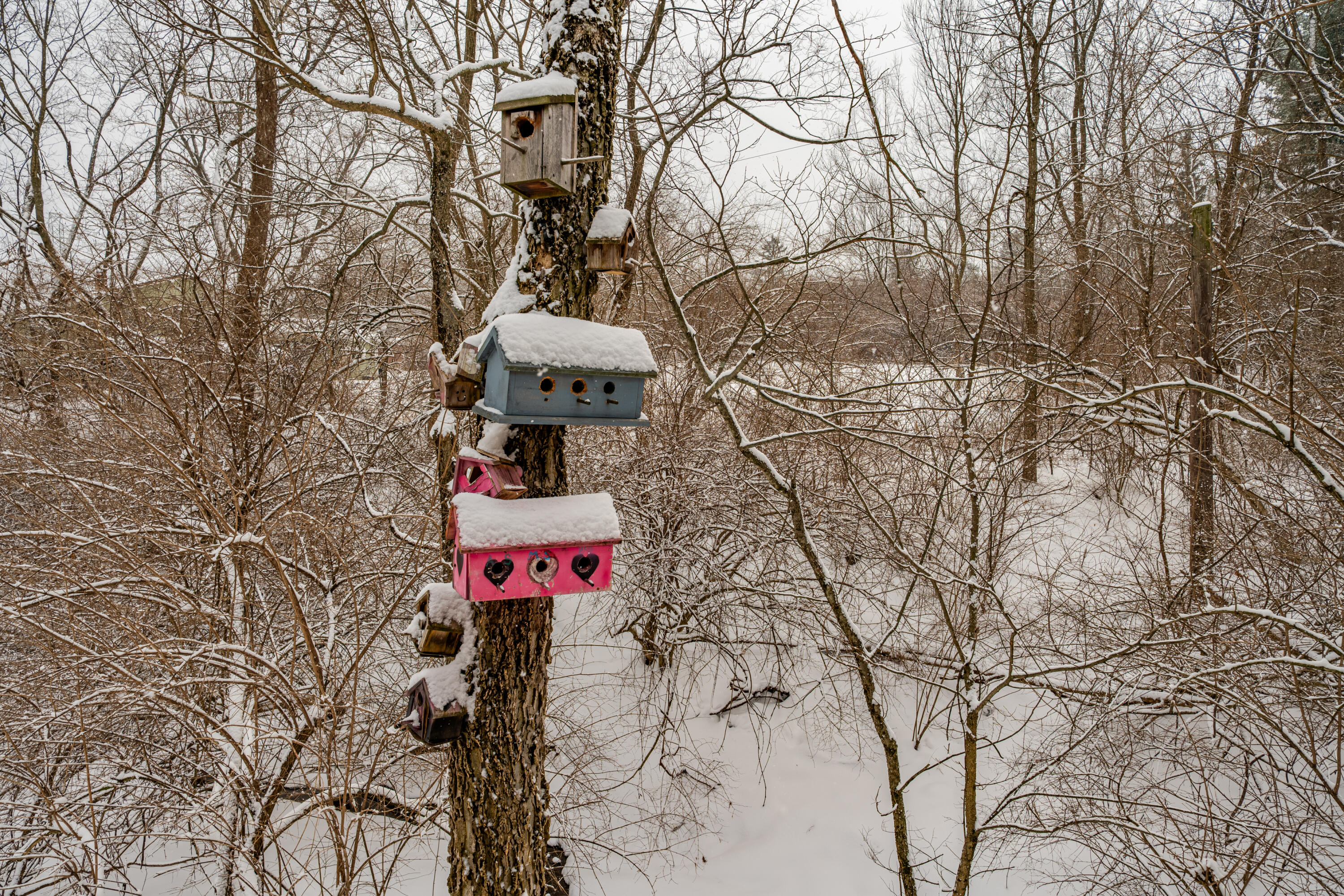 2884 Locke Drive, Beavercreek, Ohio 45431