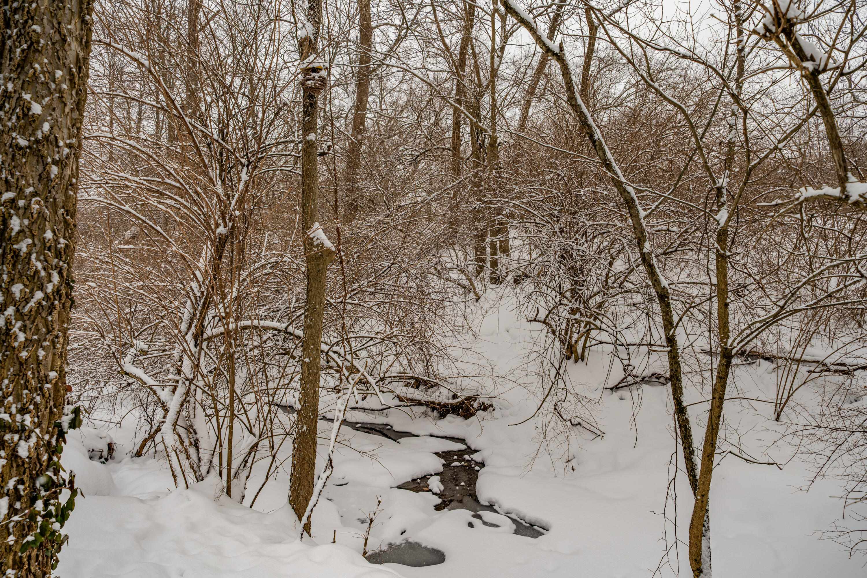 2884 Locke Drive, Beavercreek, Ohio 45431