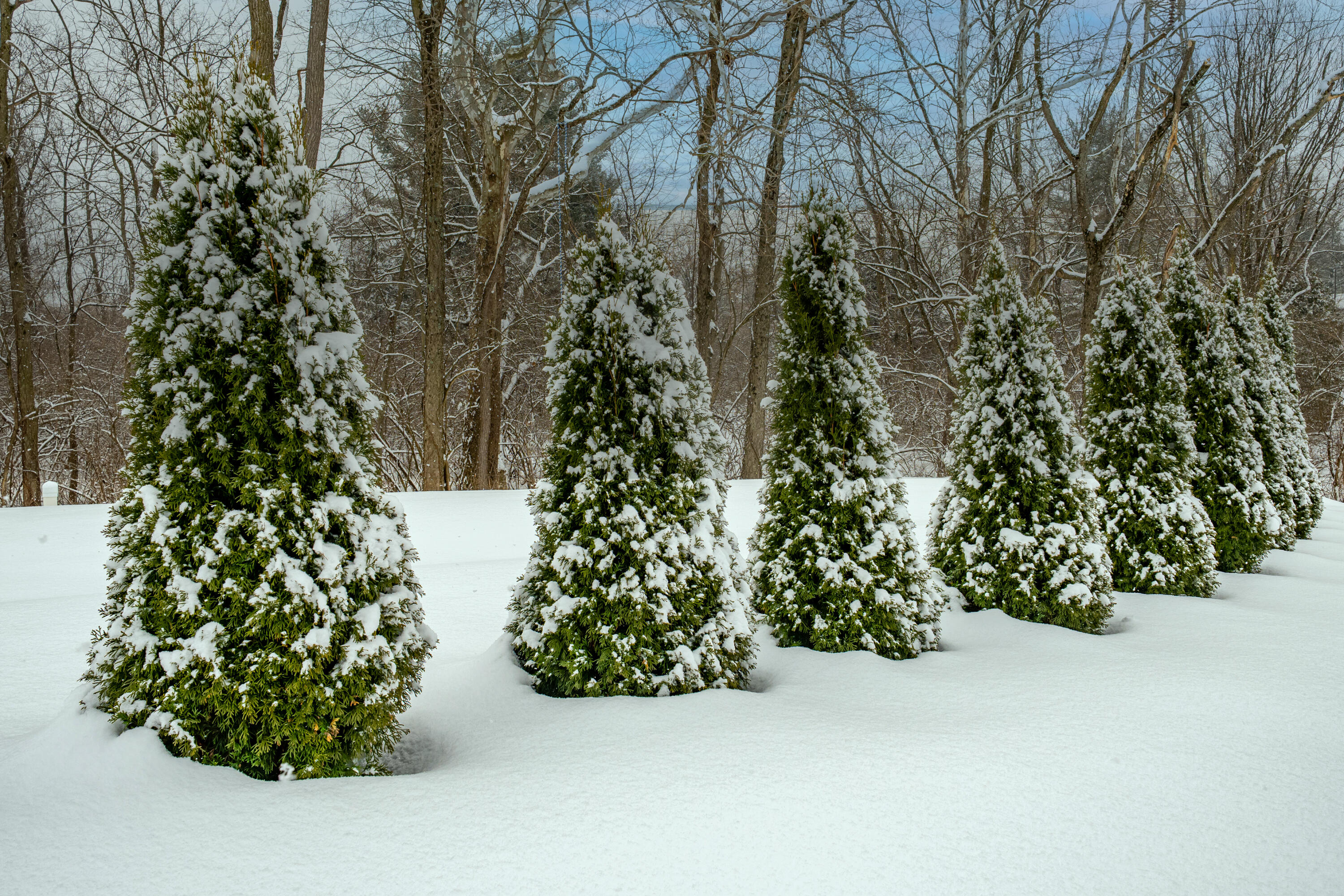 2884 Locke Drive, Beavercreek, Ohio 45431