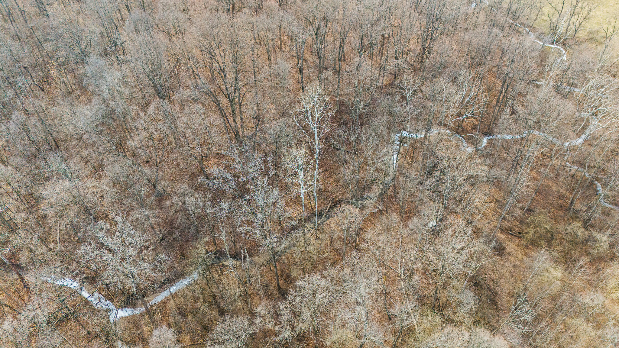 10999 Morrison Mikesell Road, New Paris, Ohio 45347