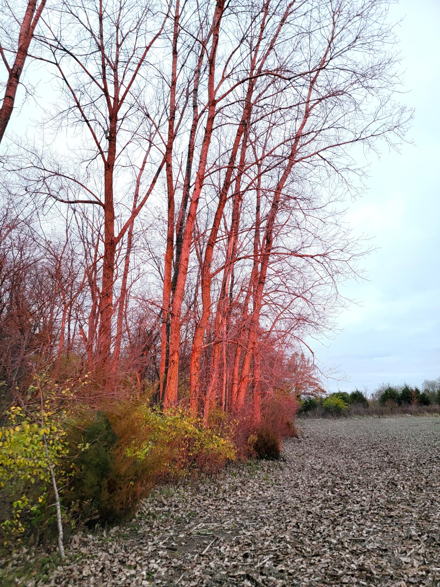 414 Sparrow Road, Springfield, Ohio 45502