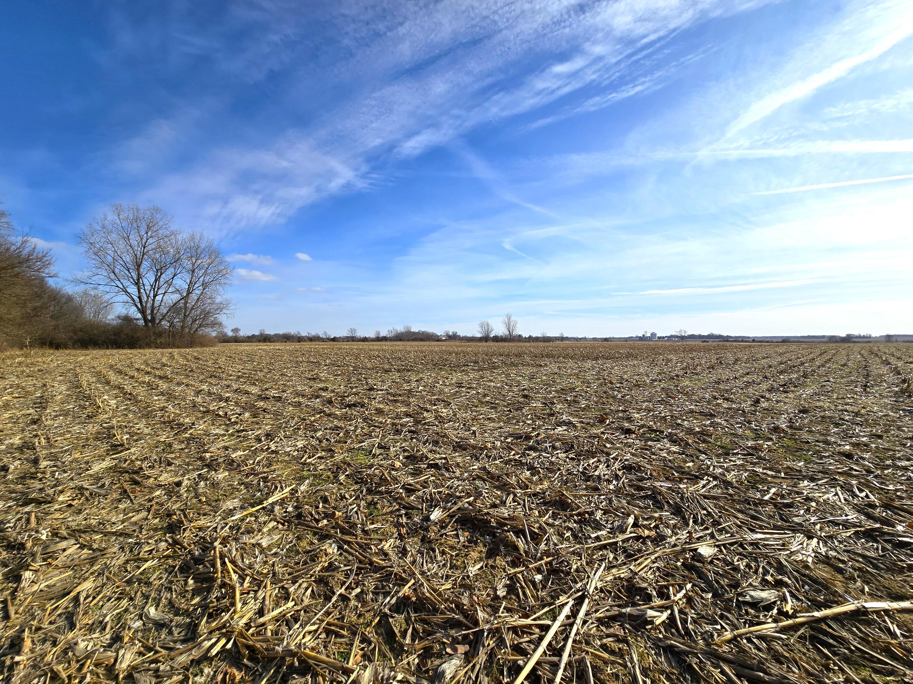 414 Sparrow Road, Springfield, Ohio 45502