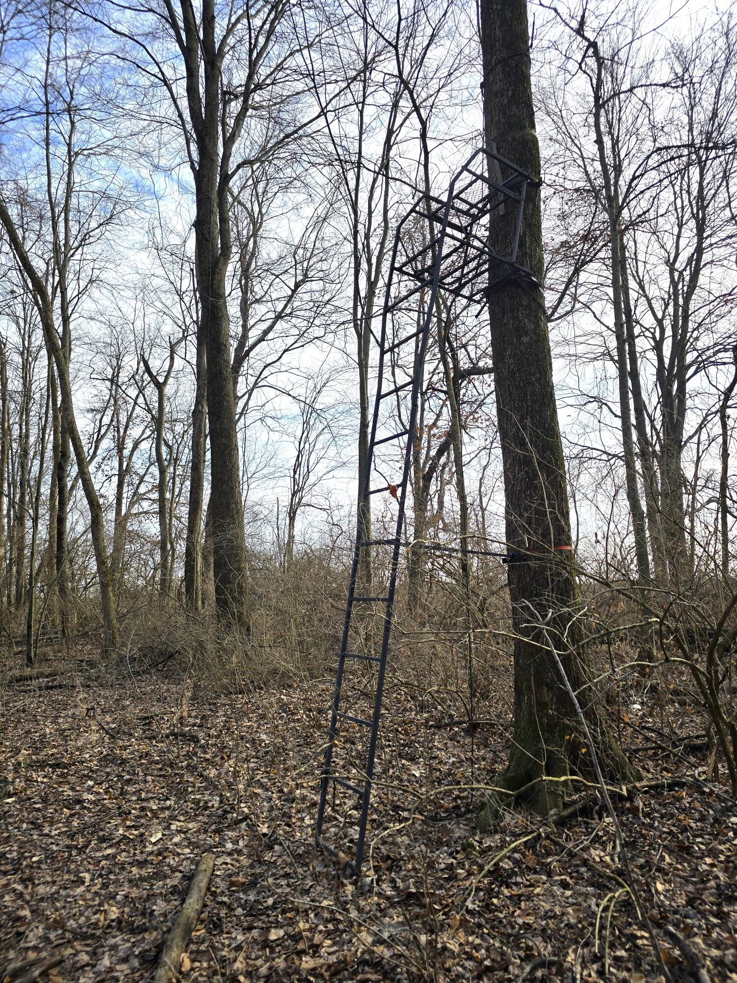 414 Sparrow Road, Springfield, Ohio 45502