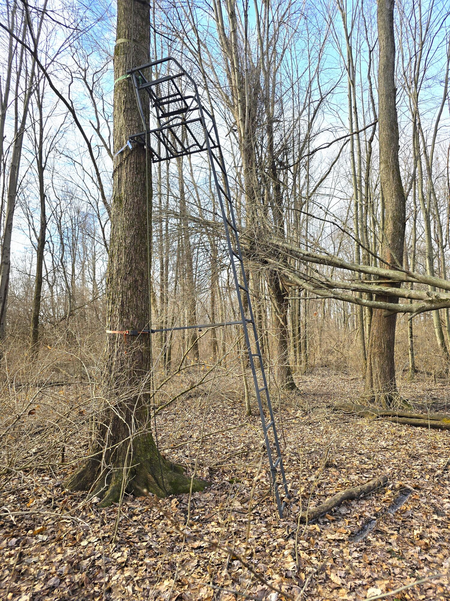 414 Sparrow Road, Springfield, Ohio 45502